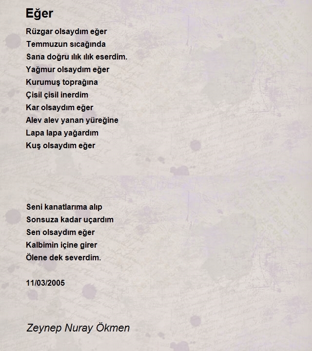 Zeynep Nuray Ökmen