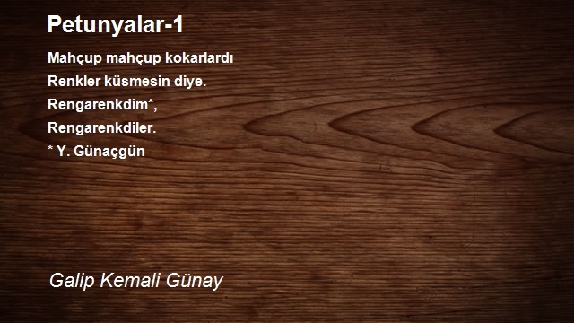 Galip Kemali Günay