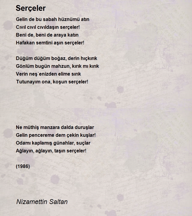 Nizamettin Saltan