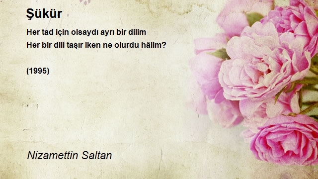 Nizamettin Saltan