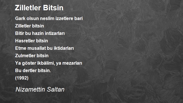 Nizamettin Saltan