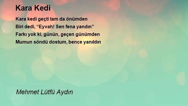 Mehmet Lütfü Aydın