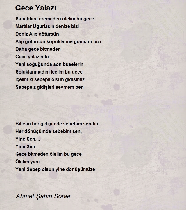 Ahmet Şahin Soner