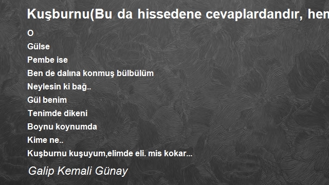 Galip Kemali Günay