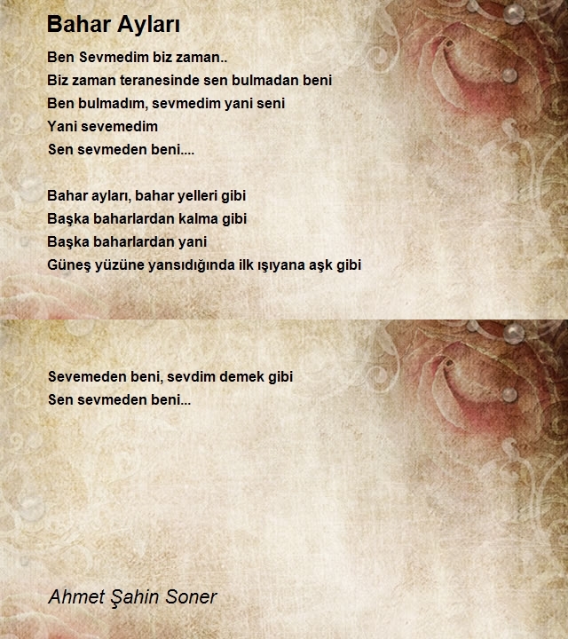 Ahmet Şahin Soner