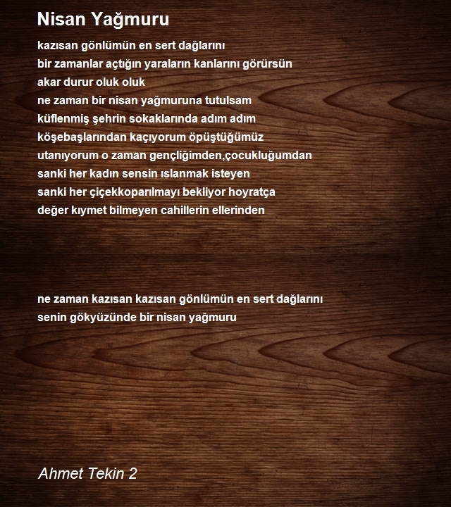 Ahmet Tekin 2