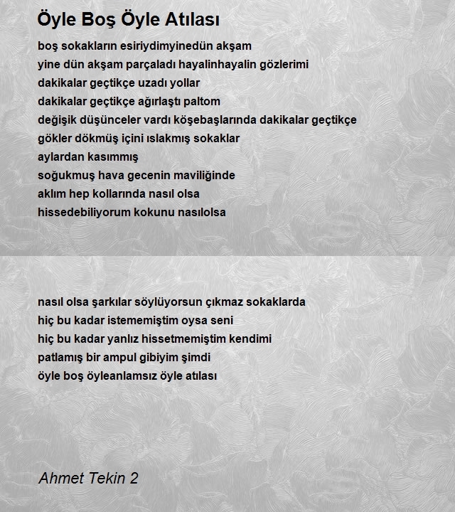 Ahmet Tekin 2