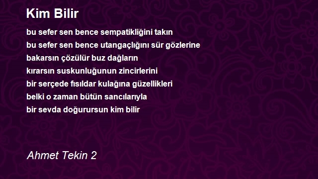 Ahmet Tekin 2