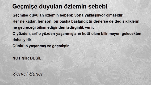 Servet Suner