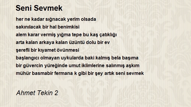 Ahmet Tekin 2