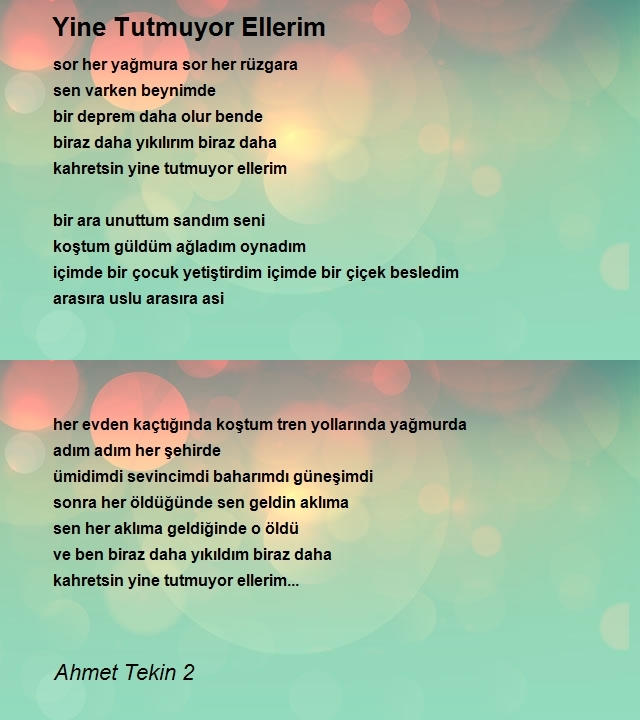 Ahmet Tekin 2