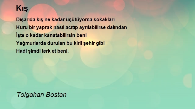 Tolgahan Bostan