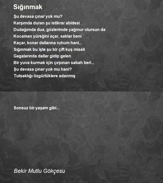 Bekir Mutlu Gökçesu