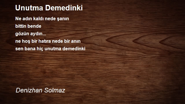 Denizhan Solmaz