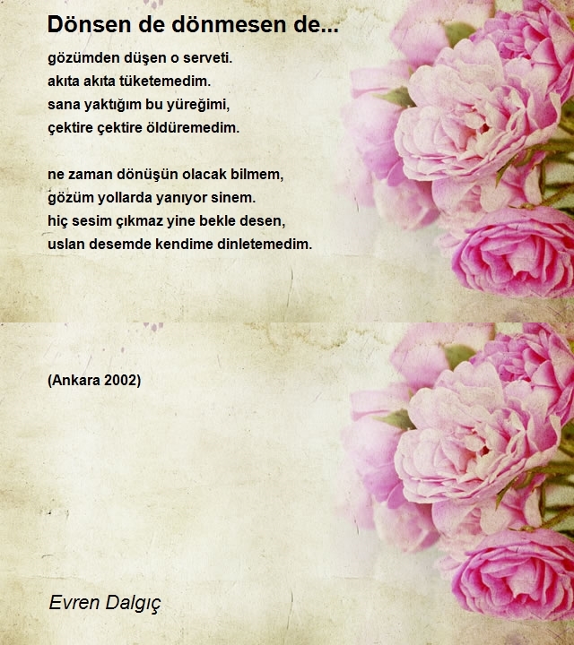 Evren Dalgıç