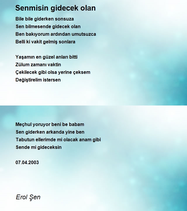 Erol Şen