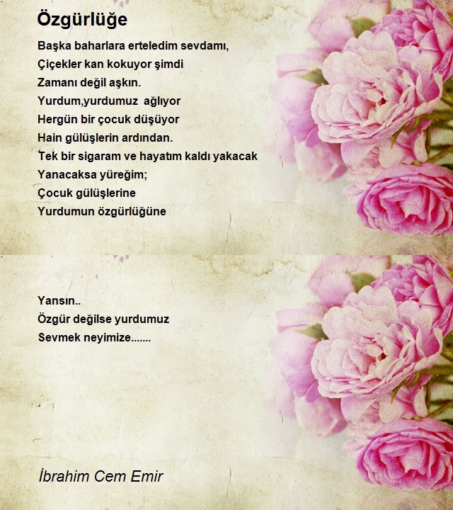 İbrahim Cem Emir