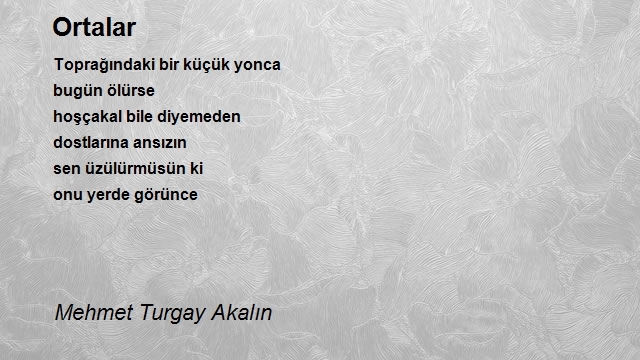 Mehmet Turgay Akalın