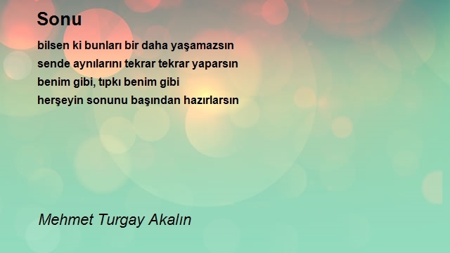 Mehmet Turgay Akalın