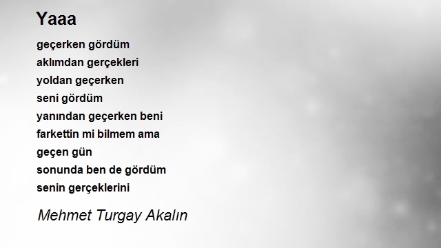 Mehmet Turgay Akalın