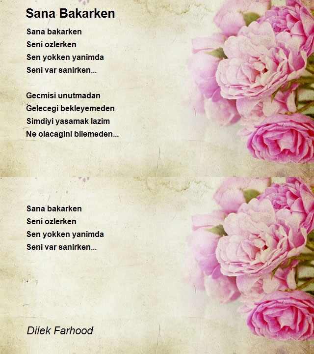 Dilek Farhood