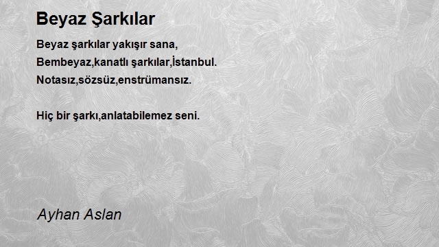 Ayhan Aslan