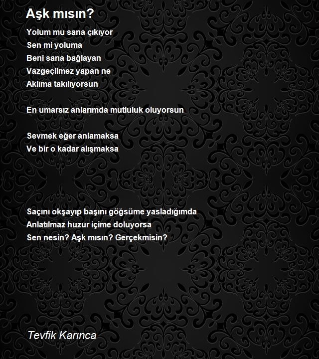 Tevfik Karınca