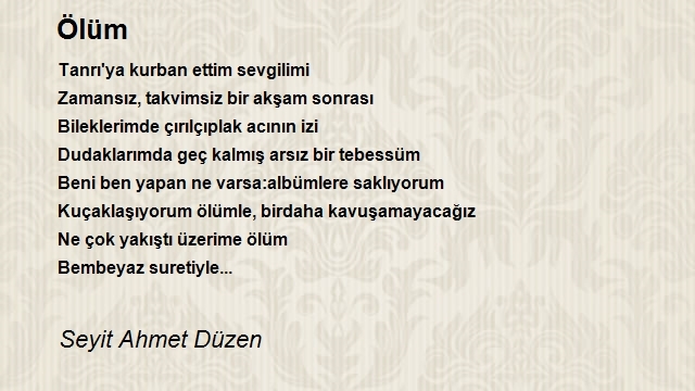 Seyit Ahmet Düzen