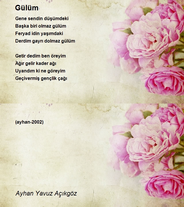 Ayhan Yavuz Açıkgöz