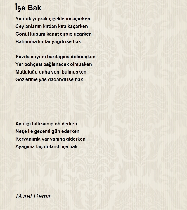 Murat Demir