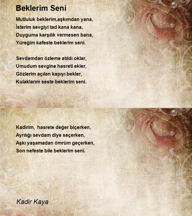 Kadir Kaya