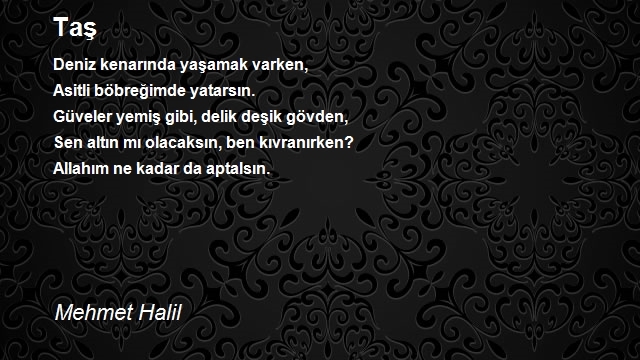 Mehmet Halil