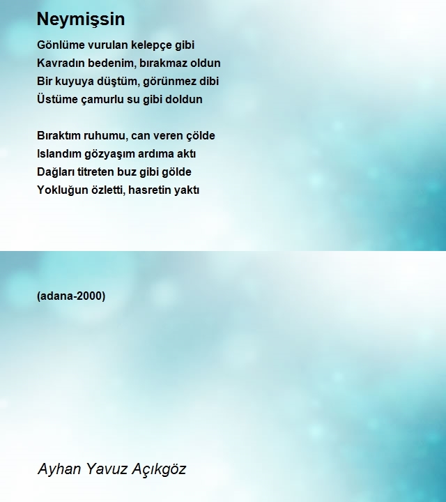 Ayhan Yavuz Açıkgöz