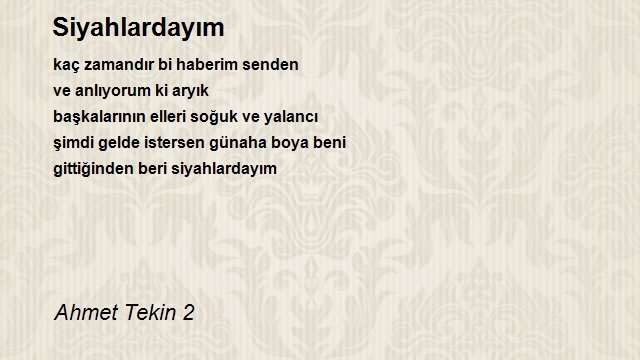 Ahmet Tekin 2