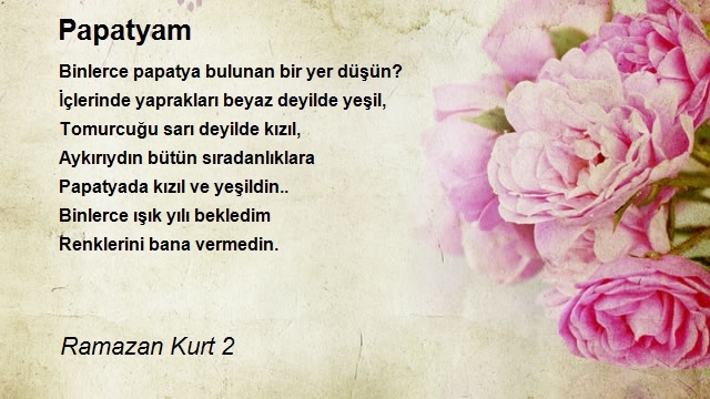 Ramazan Kurt 2