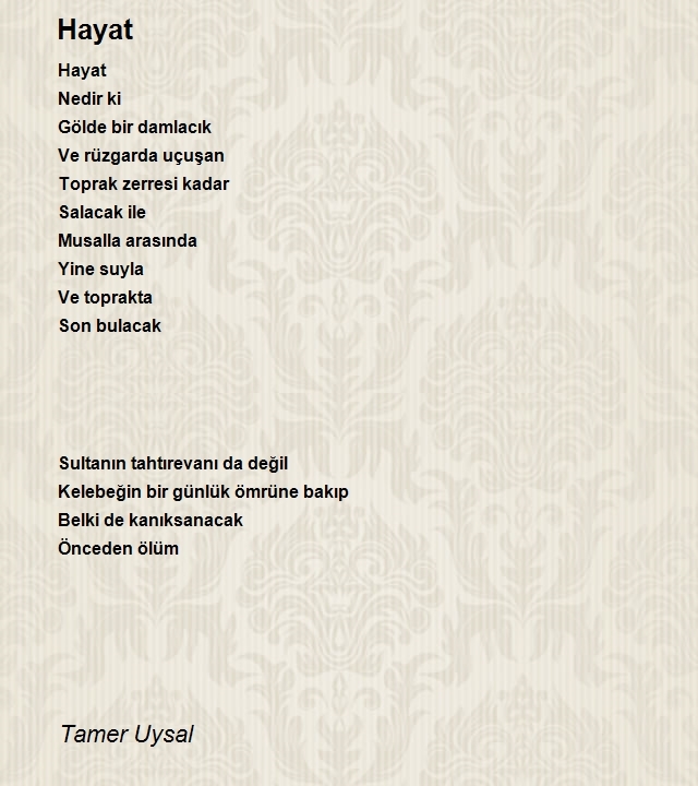 Tamer Uysal