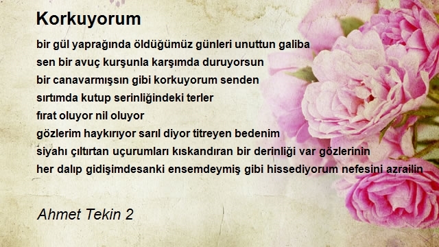 Ahmet Tekin 2