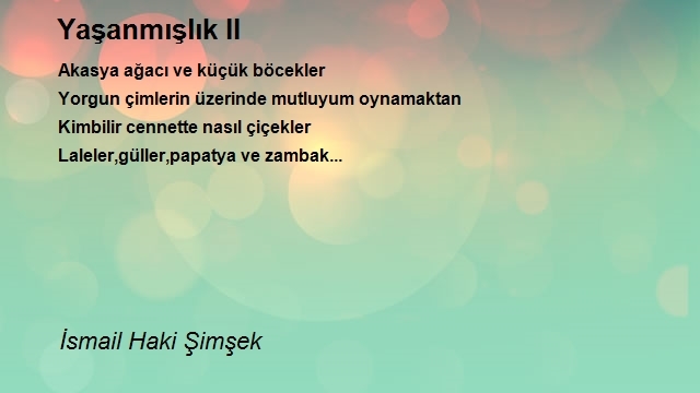 İsmail Haki Şimşek