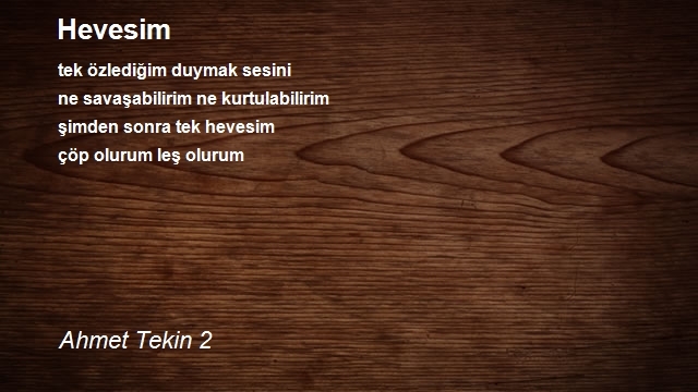 Ahmet Tekin 2