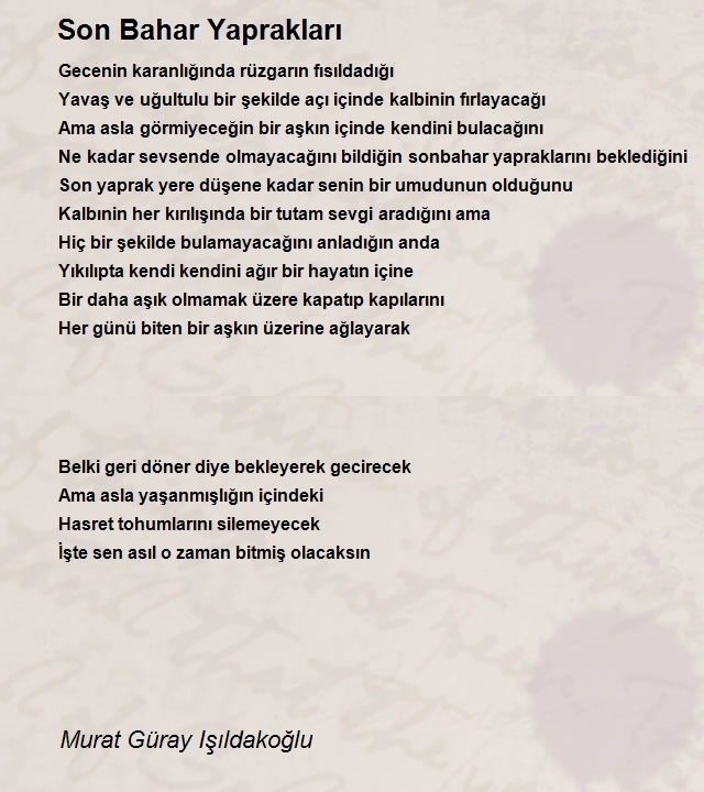 Murat Güray Işıldakoğlu 