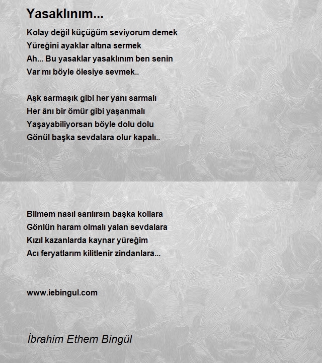 İbrahim Ethem Bingül