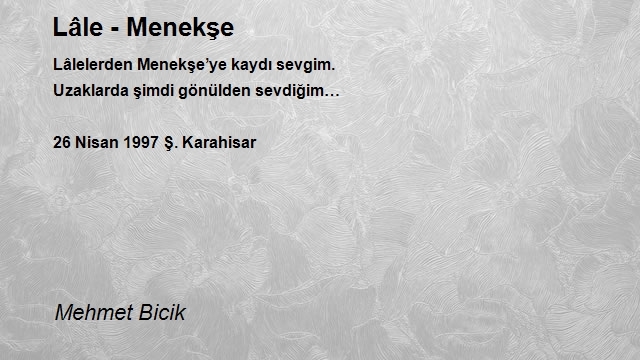 Mehmet Bicik