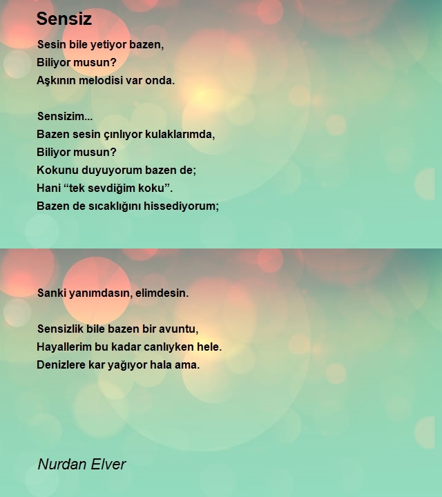 Nurdan Elver