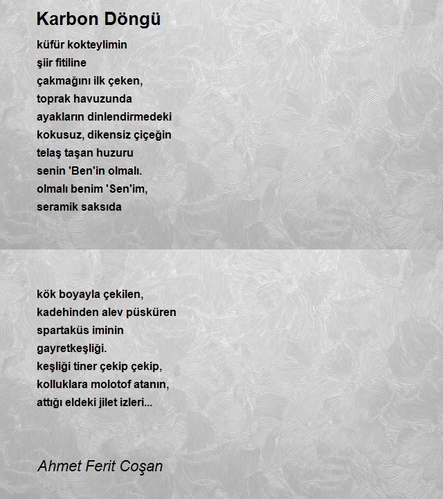 Ahmet Ferit Coşan