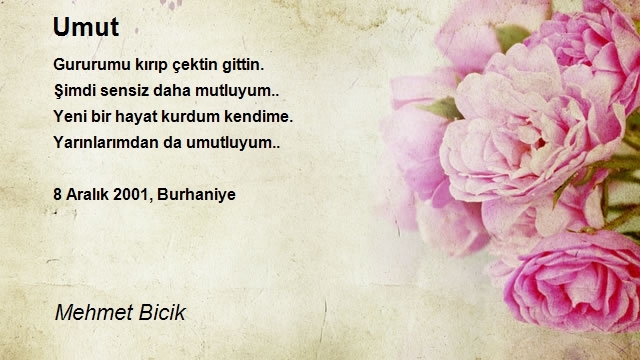 Mehmet Bicik