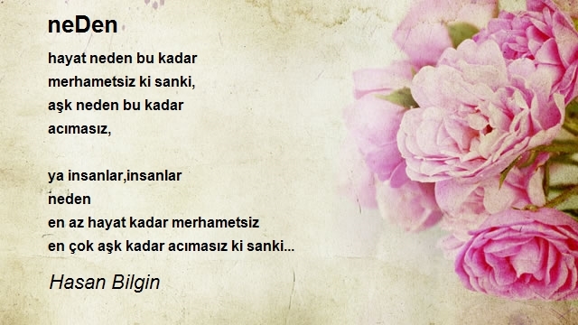 Hasan Bilgin