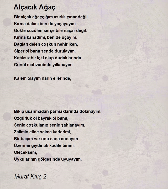 Murat Kılıç 2