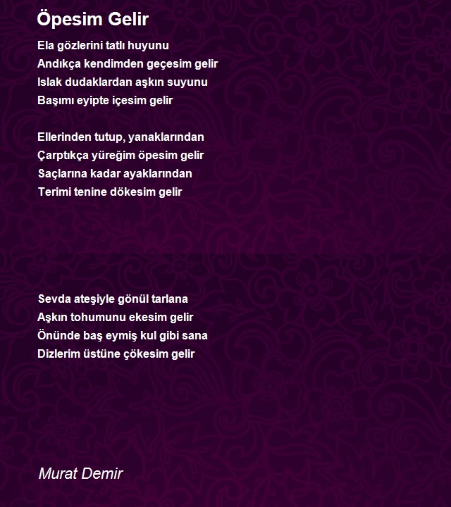 Murat Demir