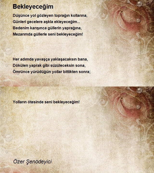 Özer Şenödeyici