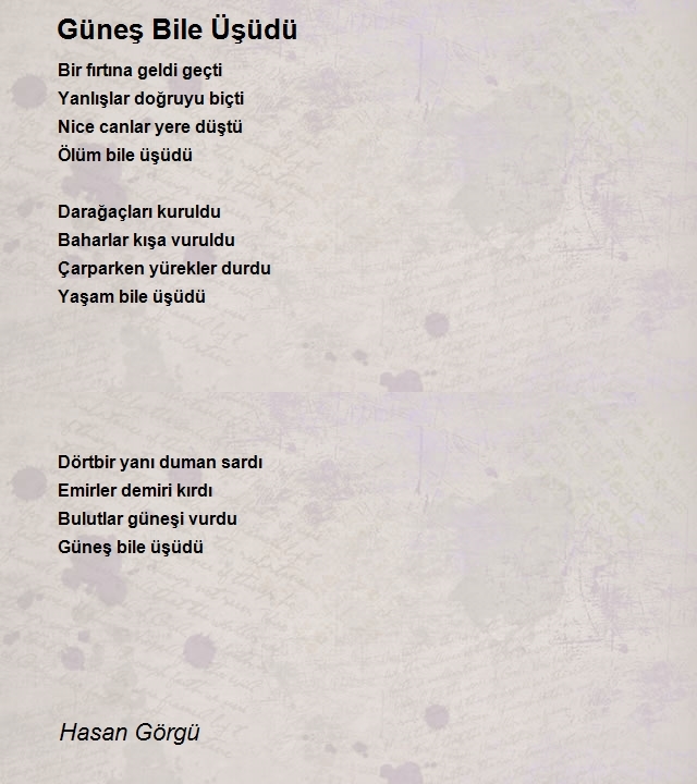 Hasan Görgü